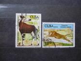 1978 m. Gyvūnai Havanos zoologijos sode
