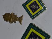 Dainu sventes vadovu ir dalyvio zenklai