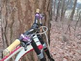 Commencal suprem v4 MTB dviratis downhill - nuotraukos Nr. 4