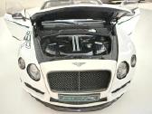 Bentley Continental Gt3-r 2015 (1:18) - kolekcinis - nuotraukos Nr. 20