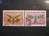 1979 m. Kubos naktiniai drugeliai