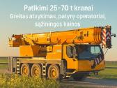 Autokranas ,kranų nuoma,autokrano nuoma - nuotraukos Nr. 5