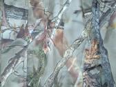 Solognac sibir 300 jr camo 14metu šilta striukė - nuotraukos Nr. 4