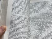 Gustainis, Šalkauskas, Fosteris - nuotraukos Nr. 7