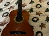 Klasikinė gitara su dėklu