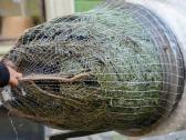 Eglučių pakavimo tinklas 45cm - nuotraukos Nr. 4