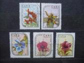 1986 m. Egzotinės gėlės