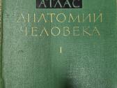 Sinelnikovo žmogaus anatomijos atlasas