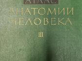Sinelnikovo žmogaus anatomijos atlasas - nuotraukos Nr. 3