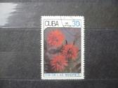 1987 m. Motinos diena – gėlės