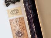 Harry Potter burtų lazdelė (Elder wand)