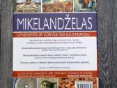 Mikelandželas - nuotraukos Nr. 2