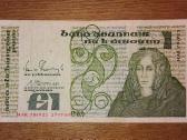 Airijos 1 £ banknotas