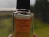 Kvepalai Chanel N22 - nuotraukos Nr. 3