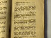 Tristanas ir Izolda 1931 - nuotraukos Nr. 3