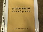 Jaunos sielos auklėjimas 1935