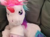 Pony ponis interaktyvus šviečia kalba reborn lėlė - nuotraukos Nr. 16