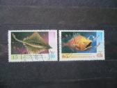 1998 m. Giliavandenės žuvys