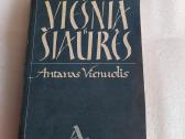 Viešnia iš šiaurės
