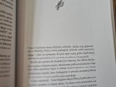 Kedrynų mergaitės istorijos (Elvyra Žeižienė) - nuotraukos Nr. 12