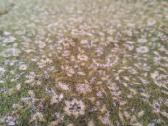 Tibetietiskas šalis, jako vilna.šalikas 210 x100cm - nuotraukos Nr. 10
