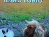 Takis ir Pūkis ieško lobio