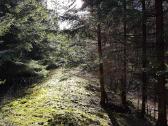 Perka miska Ringaudu, Alsenu, Zapyskio sen. Kaunas - nuotraukos Nr. 18