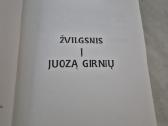 A. Vasiliauskienė - Žvilgsnis į J.girnių - nuotraukos Nr. 3