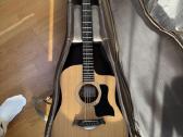 Taylor 150ce gitara, 12-styge, dėklas ir priedai - nuotraukos Nr. 2