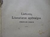 J. Gabrys - Lietuvių literatūros apžvalga 1924 - nuotraukos Nr. 2