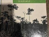 Čepkelių rezervatas.k. Balevičius