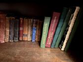 Knygos - biblioteka - enciklopedijos - zodynai - nuotraukos Nr. 13