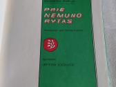 Prie Nemuno rytas - nuotraukos Nr. 2