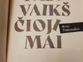 Knyga Rytis Zemkauskas "Pasivaikščiojimai" - nuotraukos Nr. 3