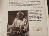 E. B. White knyga "Gulbės trimitas" - nuotraukos Nr. 3