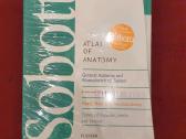 Sobotta 16th Edition
