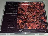 Dave Stewart & Barbara Gaskin – The Big Idea (Cda) - nuotraukos Nr. 2