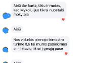 Lietuvių kalbos mokytoja korepetitorė - nuotraukos Nr. 26