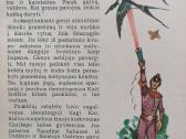 A.volkovas ''Apleistos pilies paslaptis'' - nuotraukos Nr. 3