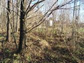 Parduodami du sklypai Kauno rajone Jurginiškių k. - nuotraukos Nr. 16
