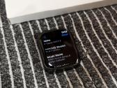 Apple Watch 8 45mm Stainless Steel Graphite esim - nuotraukos Nr. 8