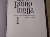 Pomologija - nuotraukos Nr. 2