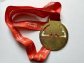 Begimo Medalis Vilnius 2016, 2018 m - nuotraukos Nr. 2