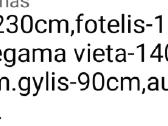 Dvigule odine sofa ir fotelis - nuotraukos Nr. 3