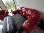Dvigule odine sofa ir fotelis - nuotraukos Nr. 5