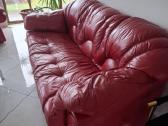 Dvigule odine sofa ir fotelis - nuotraukos Nr. 9