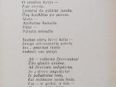 A. Matutis "Trijų brolių svirnelis" - nuotraukos Nr. 3