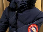 Canada goose