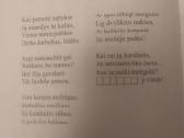 "Mes iš pasakų atklydę" - nuotraukos Nr. 9