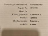Parduodu miška iškirtimui - nuotraukos Nr. 6